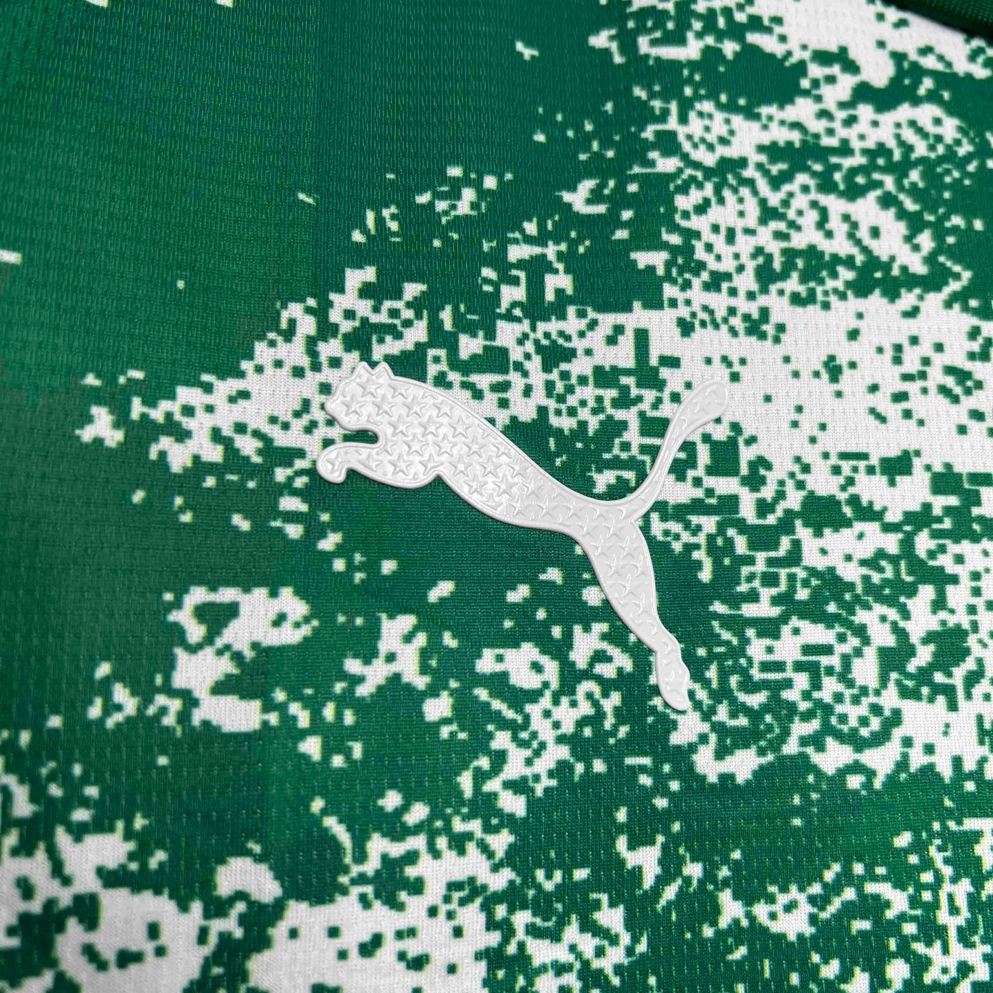 Palmeiras For a Greener Future Special Edition